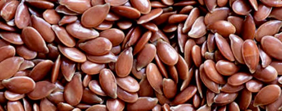 flax seeds